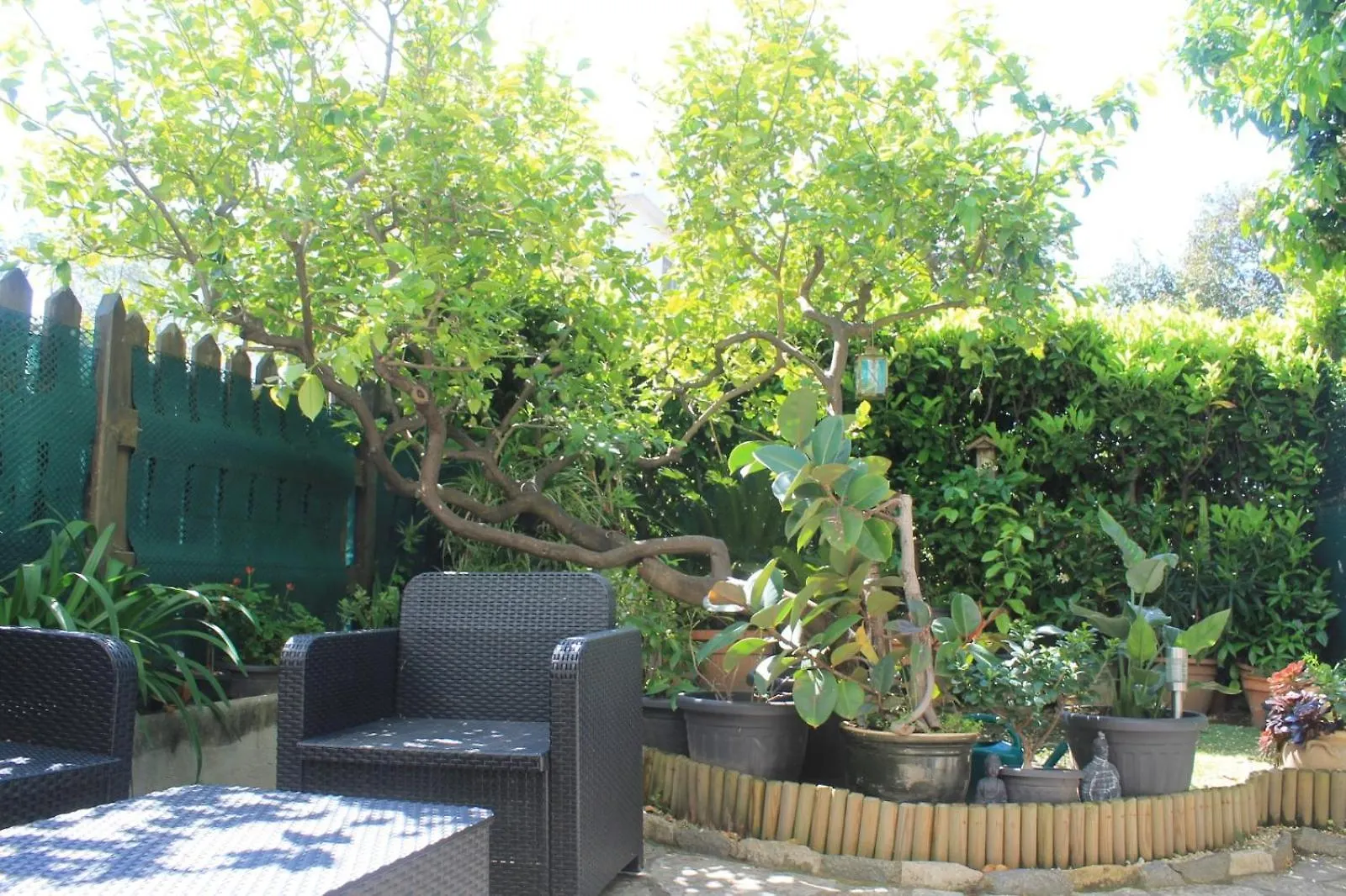 Apartament Damaky2 Nicea Francja